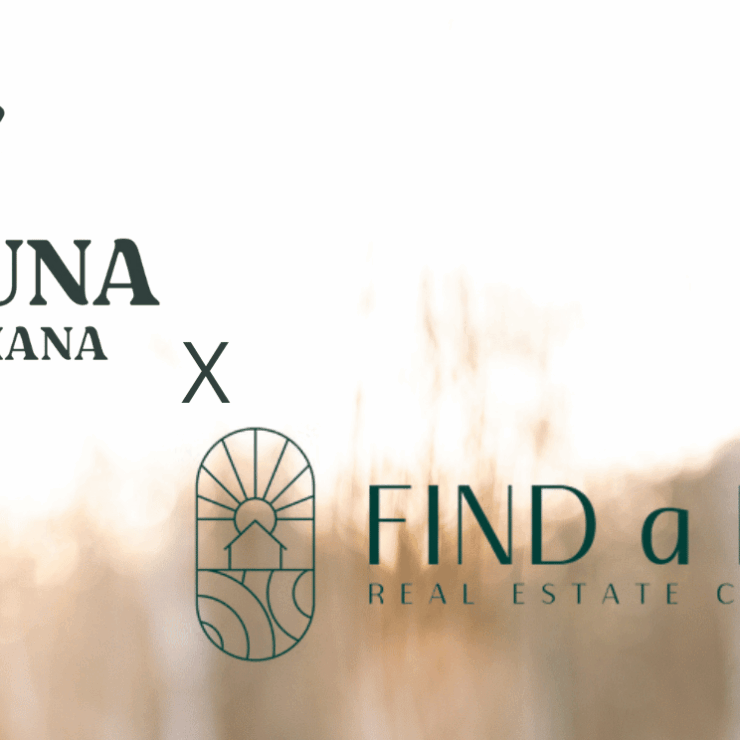 Buying land in Portugal: how Find a Land helped us start Yuna